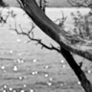 Meet your Posher, Kelly blair